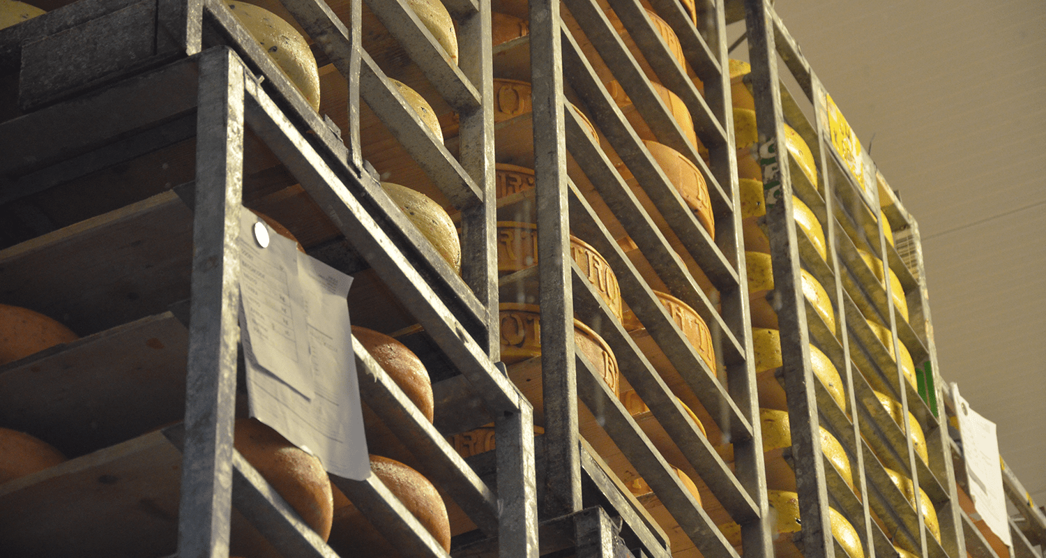 Kaasboerderij Kaamps: Zekerheid over temperatuur stelt productieproces veilig